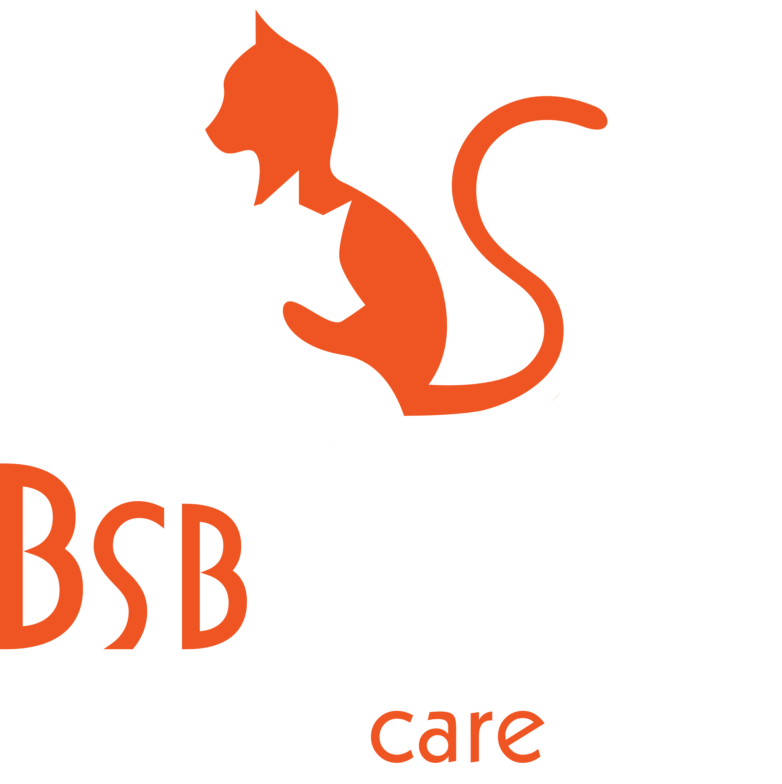 BSBichos - Logo da clínica veterinária